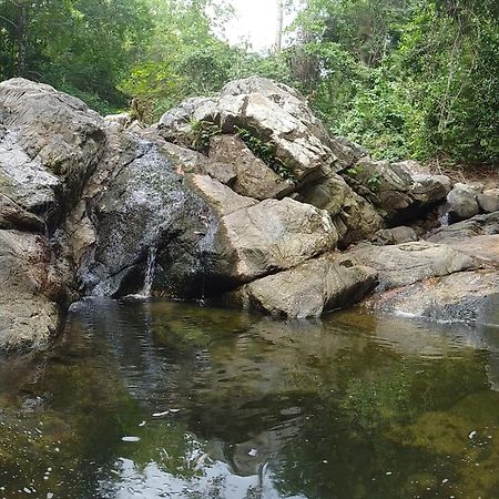 Ecocabanas Diosa Jaguar Tayrona La Esmeralda  Экстерьер фото
