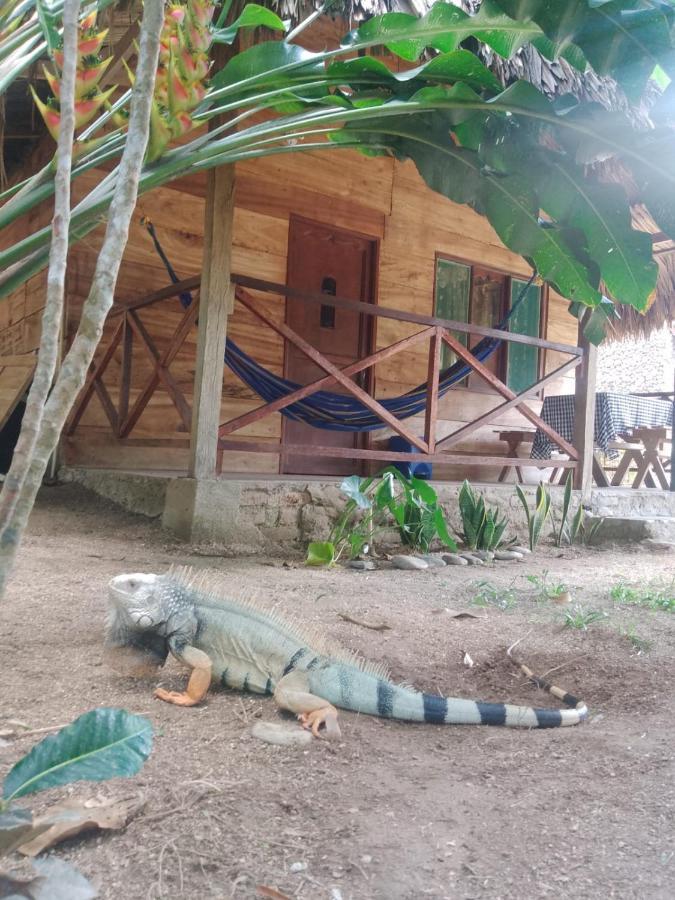 Ecocabanas Diosa Jaguar Tayrona La Esmeralda  Экстерьер фото