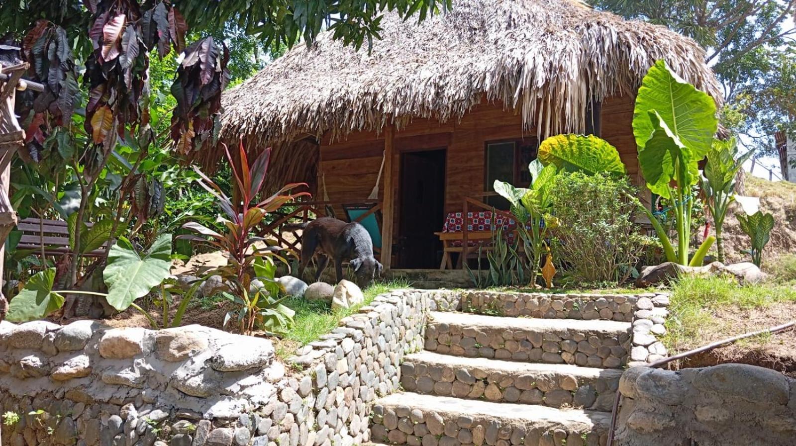 Ecocabanas Diosa Jaguar Tayrona La Esmeralda  Экстерьер фото