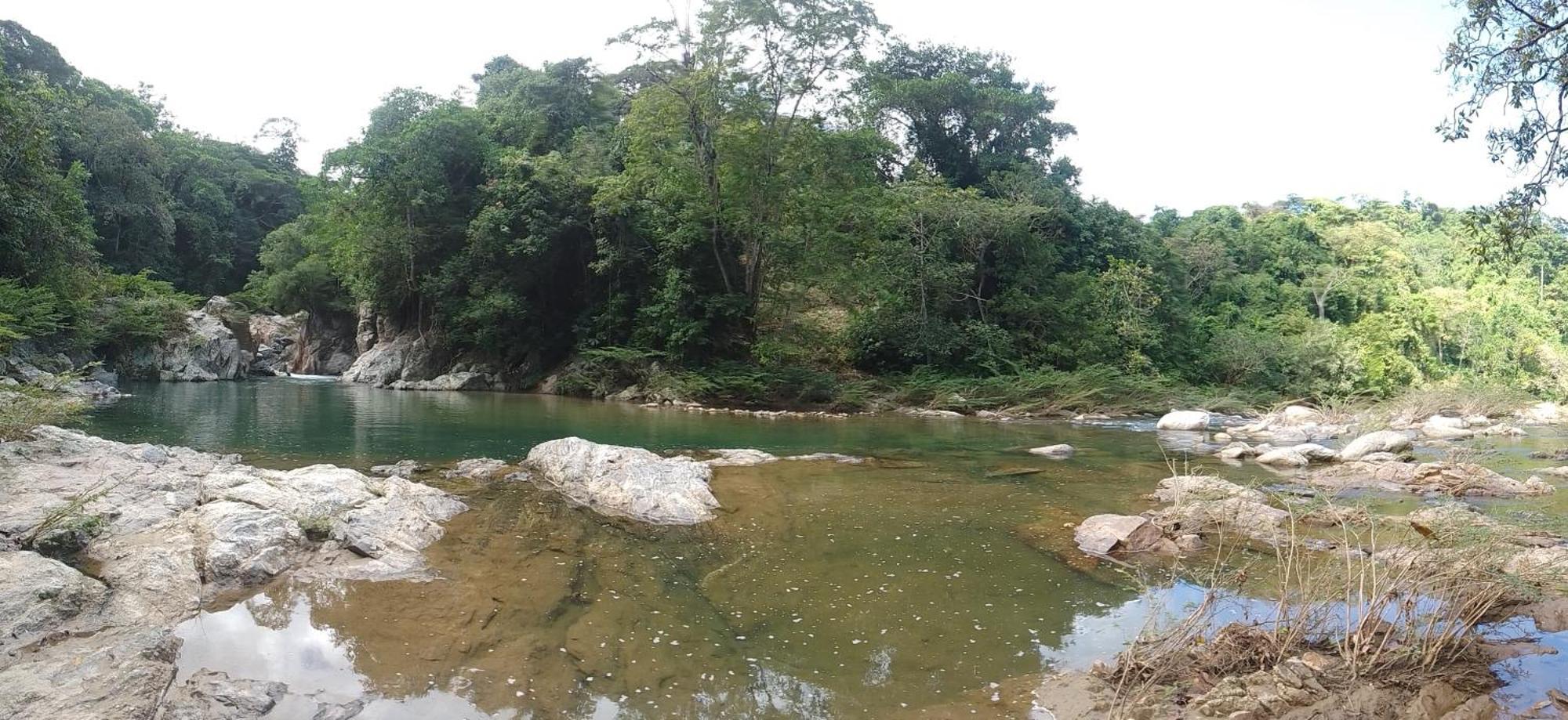 Ecocabanas Diosa Jaguar Tayrona La Esmeralda  Экстерьер фото