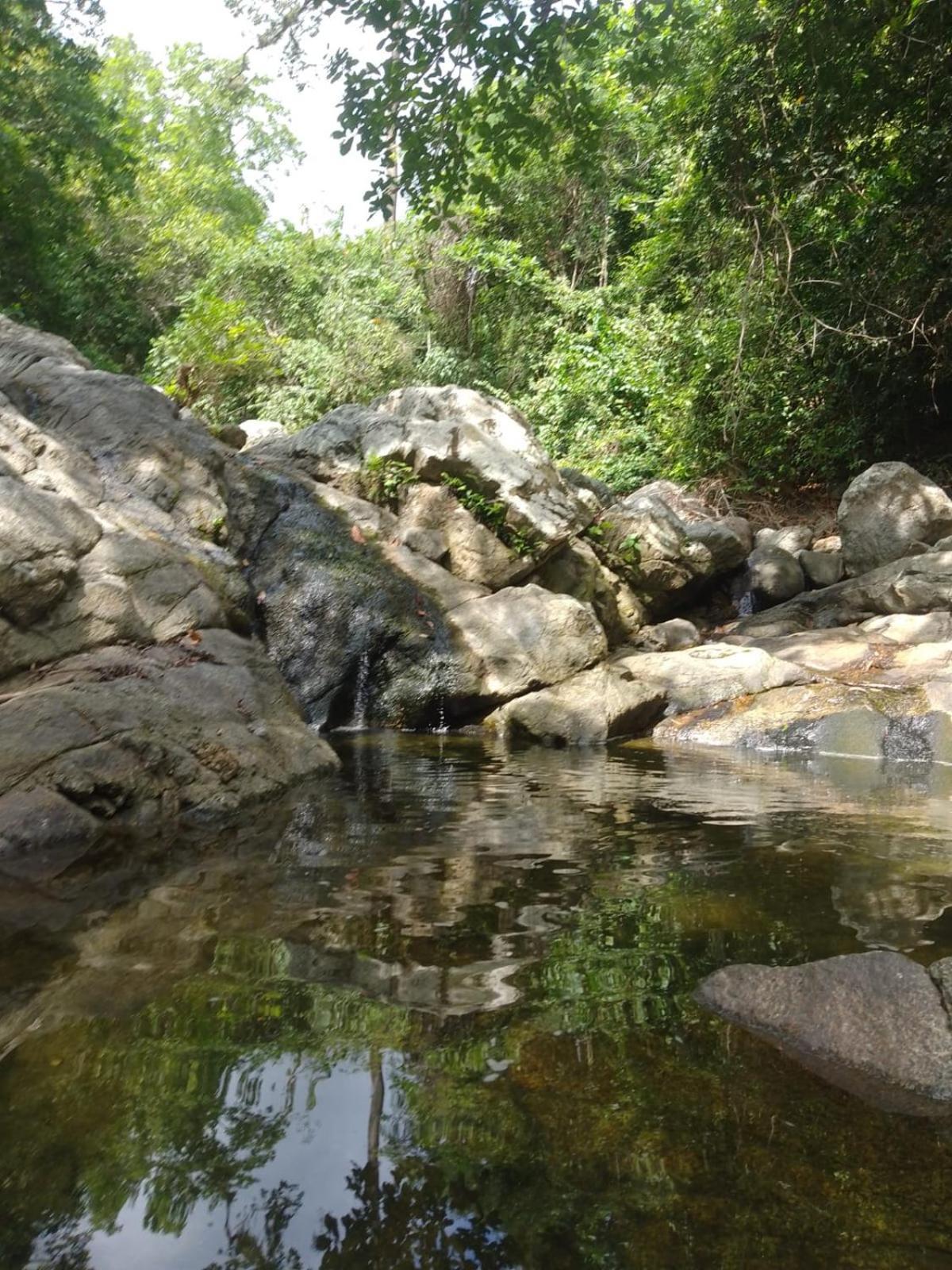 Ecocabanas Diosa Jaguar Tayrona La Esmeralda  Экстерьер фото