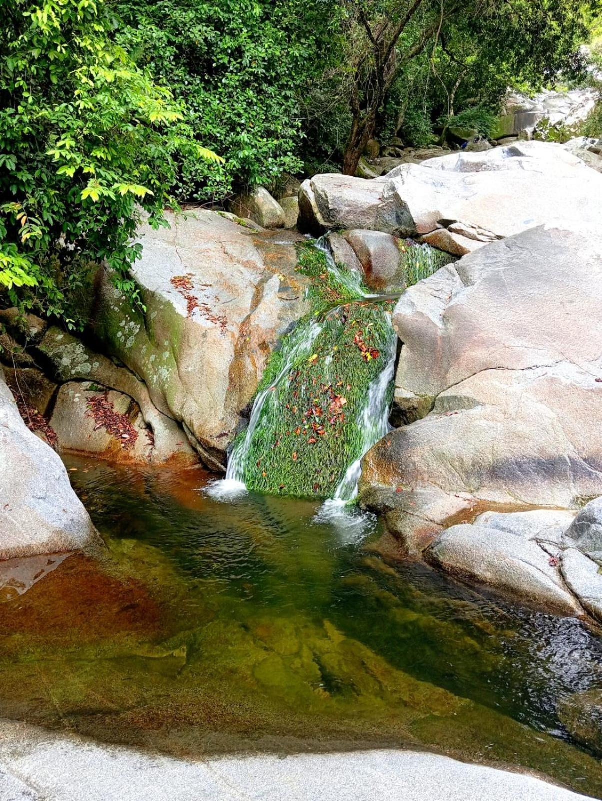 Ecocabanas Diosa Jaguar Tayrona La Esmeralda  Экстерьер фото